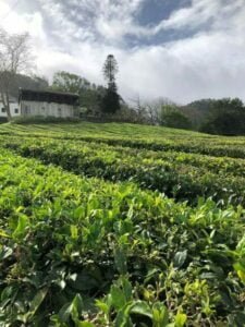 Giftbox presente aniversario