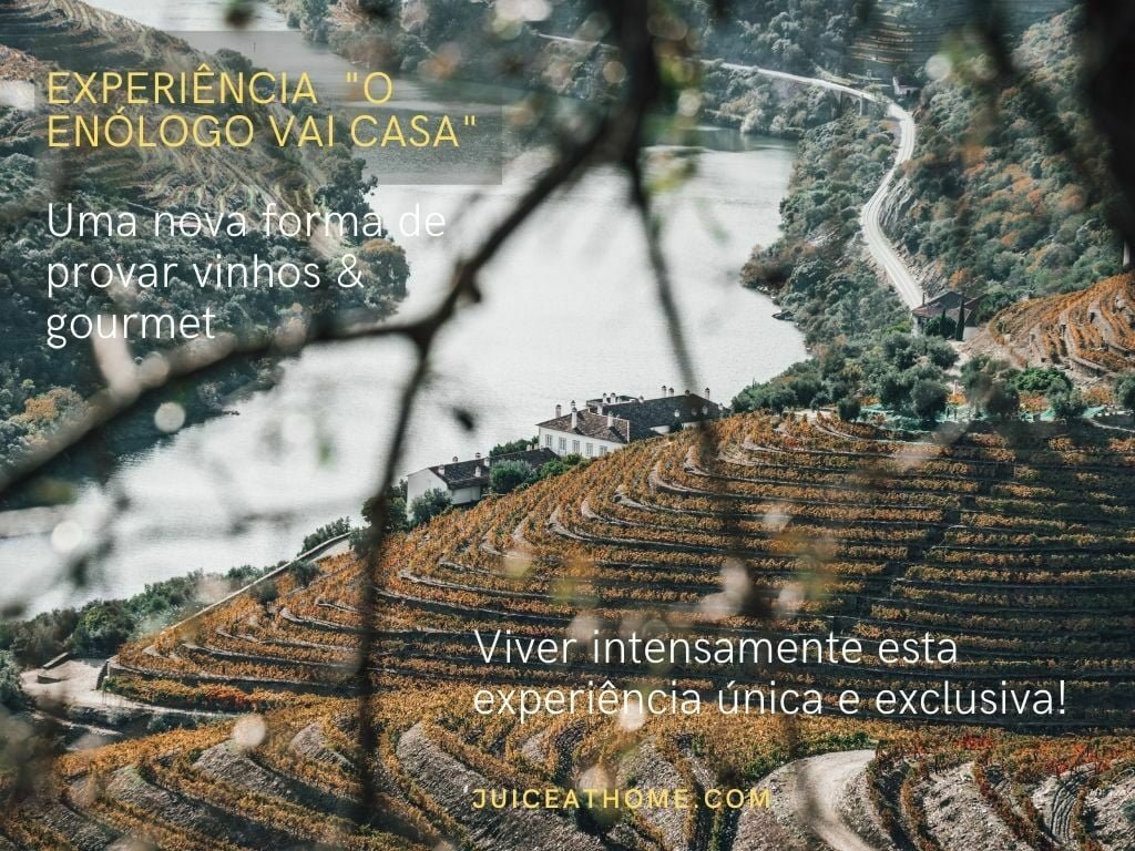 o enologo vai a casa exclusivo prova de vinhos online quinta da romaneira